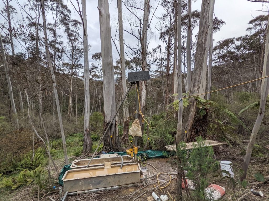 PXL_20221013_053933097 2