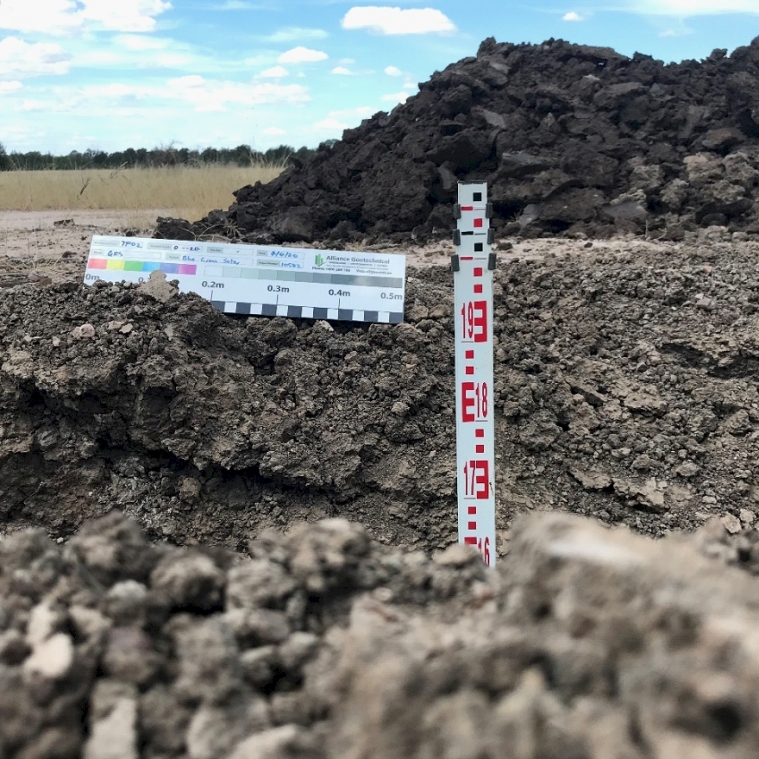 Bluegrass Solar Farm, Chinchilla (QLD)